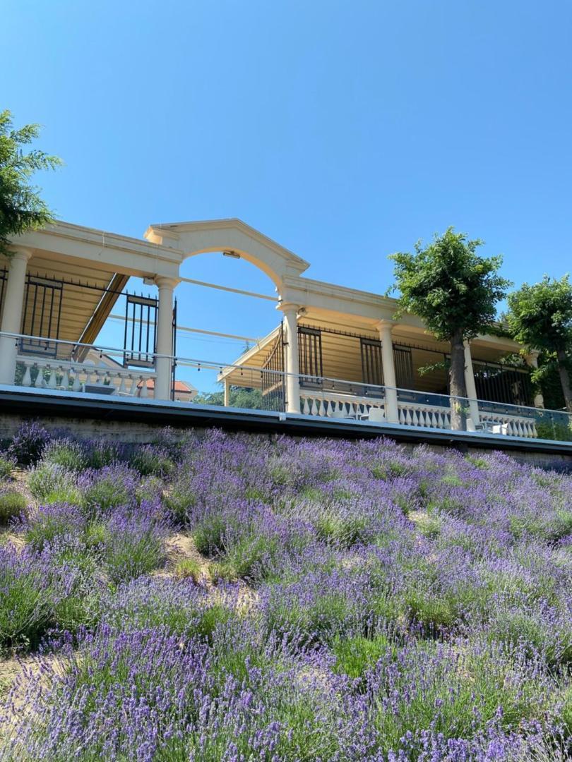 La Gioconda Boutique Hotel 5*